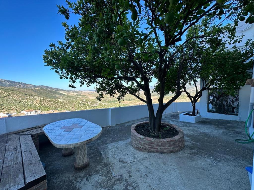 Apartamento Antonia Zahara De La Sierra Exterior foto